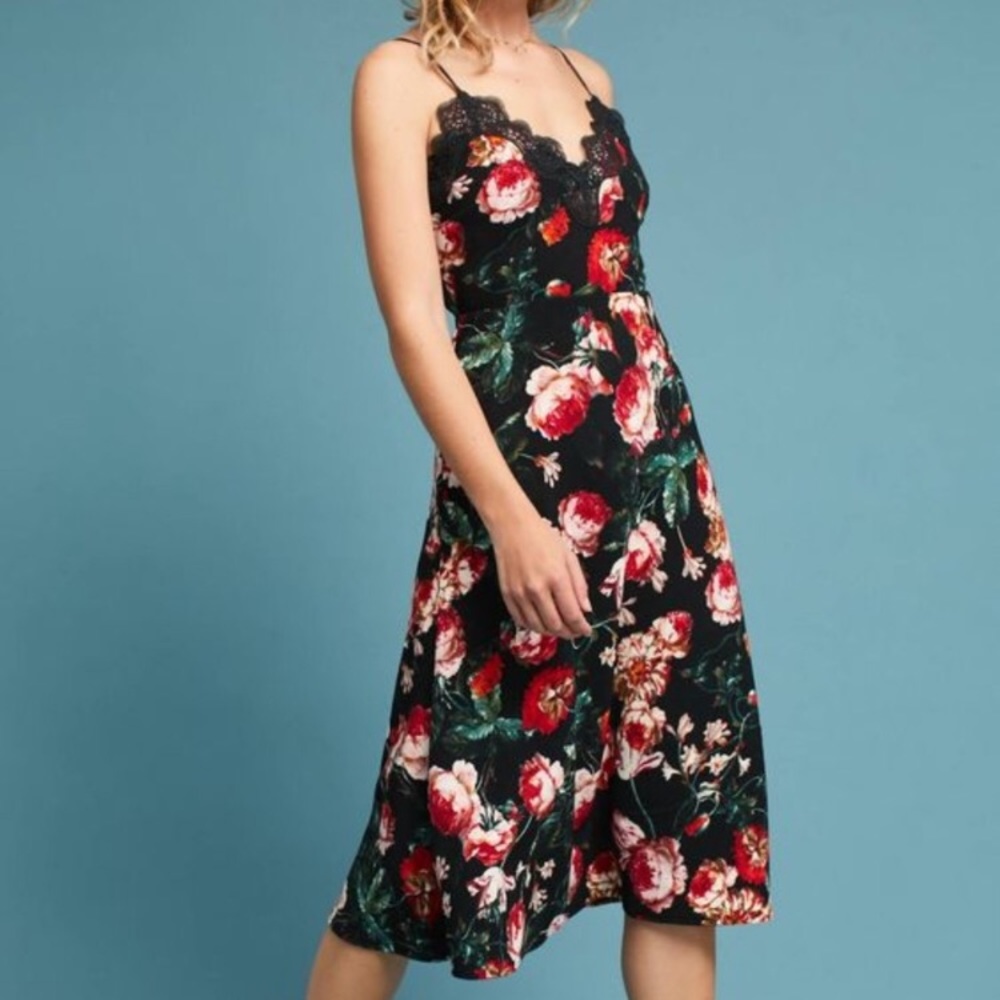 Anthropologie foxiedox dress